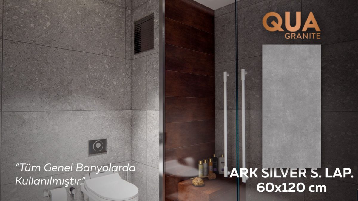 ark-silver-60x120